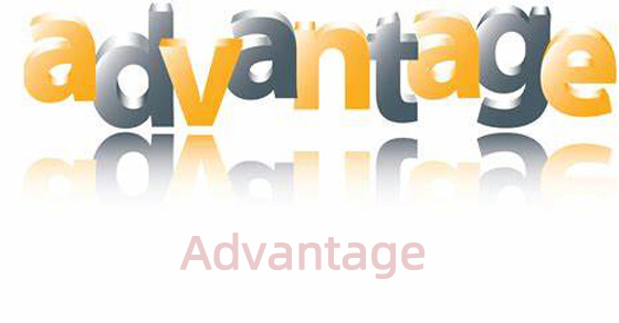 Our advantage